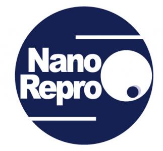 NANOREPRO AG