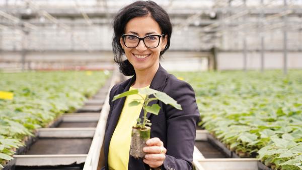 Frau Allin Gasparian